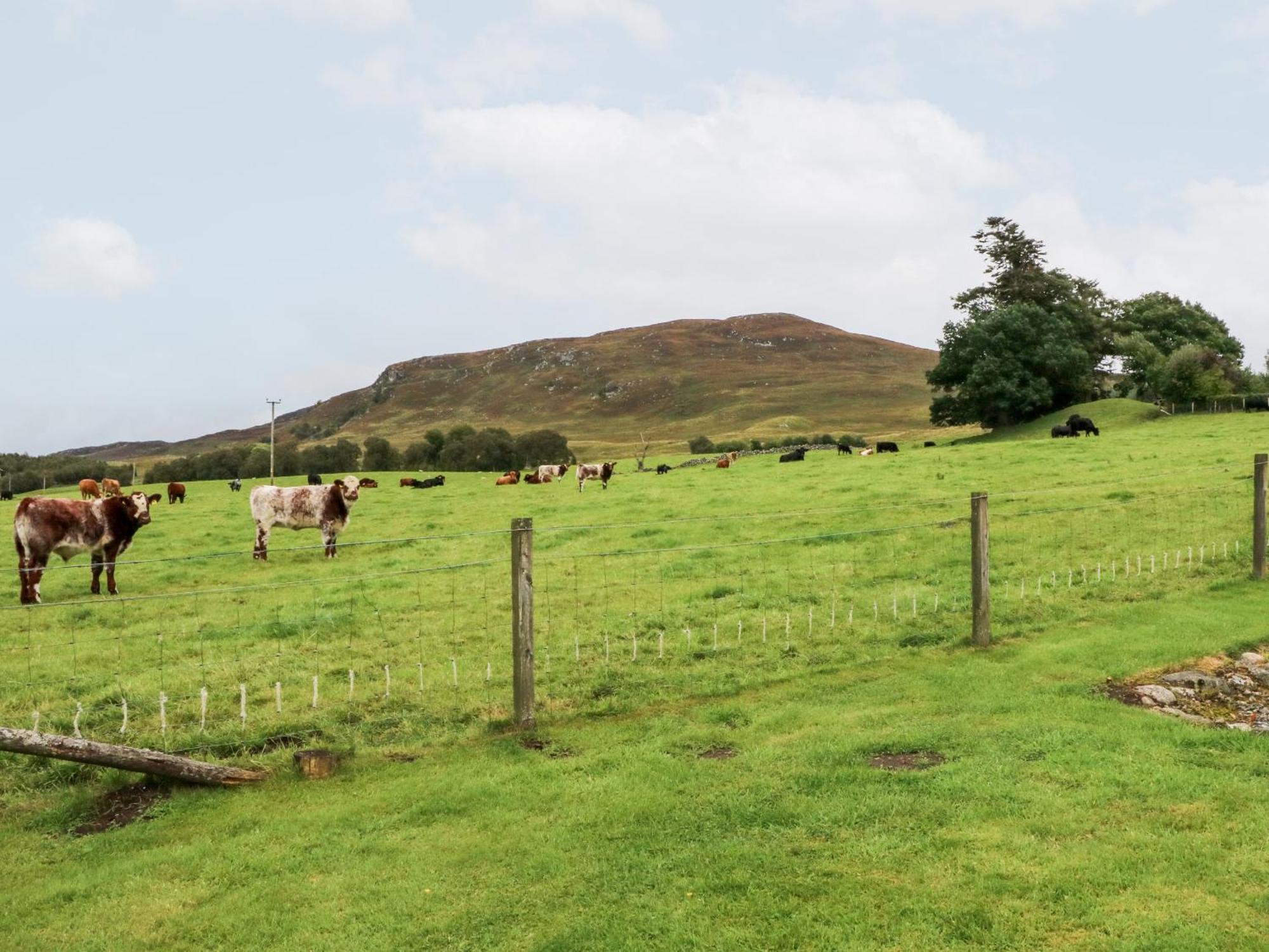 Villa Creag-Na-Sanais Laggan  Esterno foto